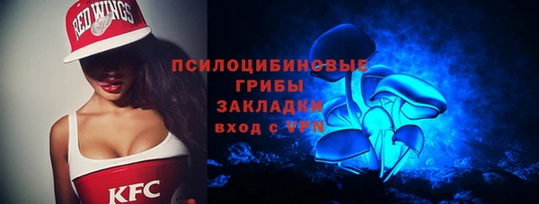сатива Няндома