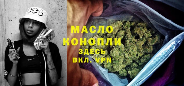 сатива Няндома