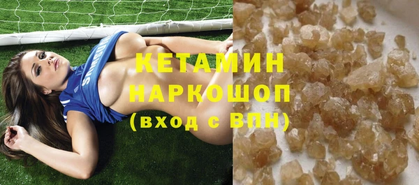 сатива Няндома