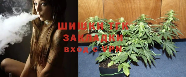 сатива Няндома