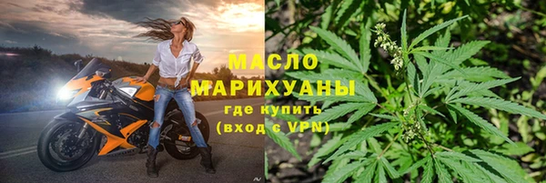 сатива Няндома