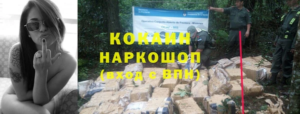 сатива Няндома