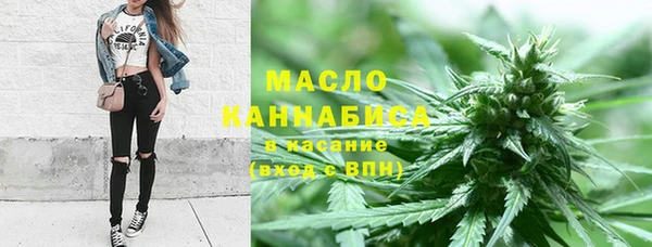 сатива Няндома