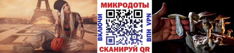 Псилоцибиновые грибы Cubensis  Калуга 